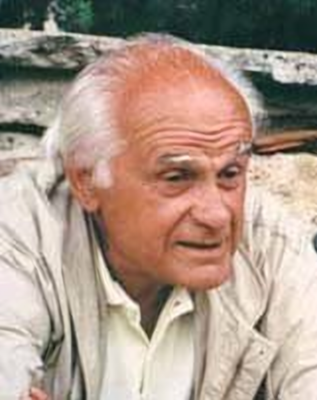 Portretul arhitectului Dinu Theodorescu